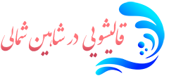 قالیشویی شاهین شمالی